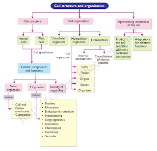websites about teens latex covalent additive
